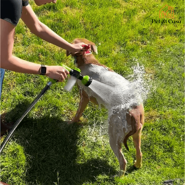 Ducha Multifuncional - Pet & Casa